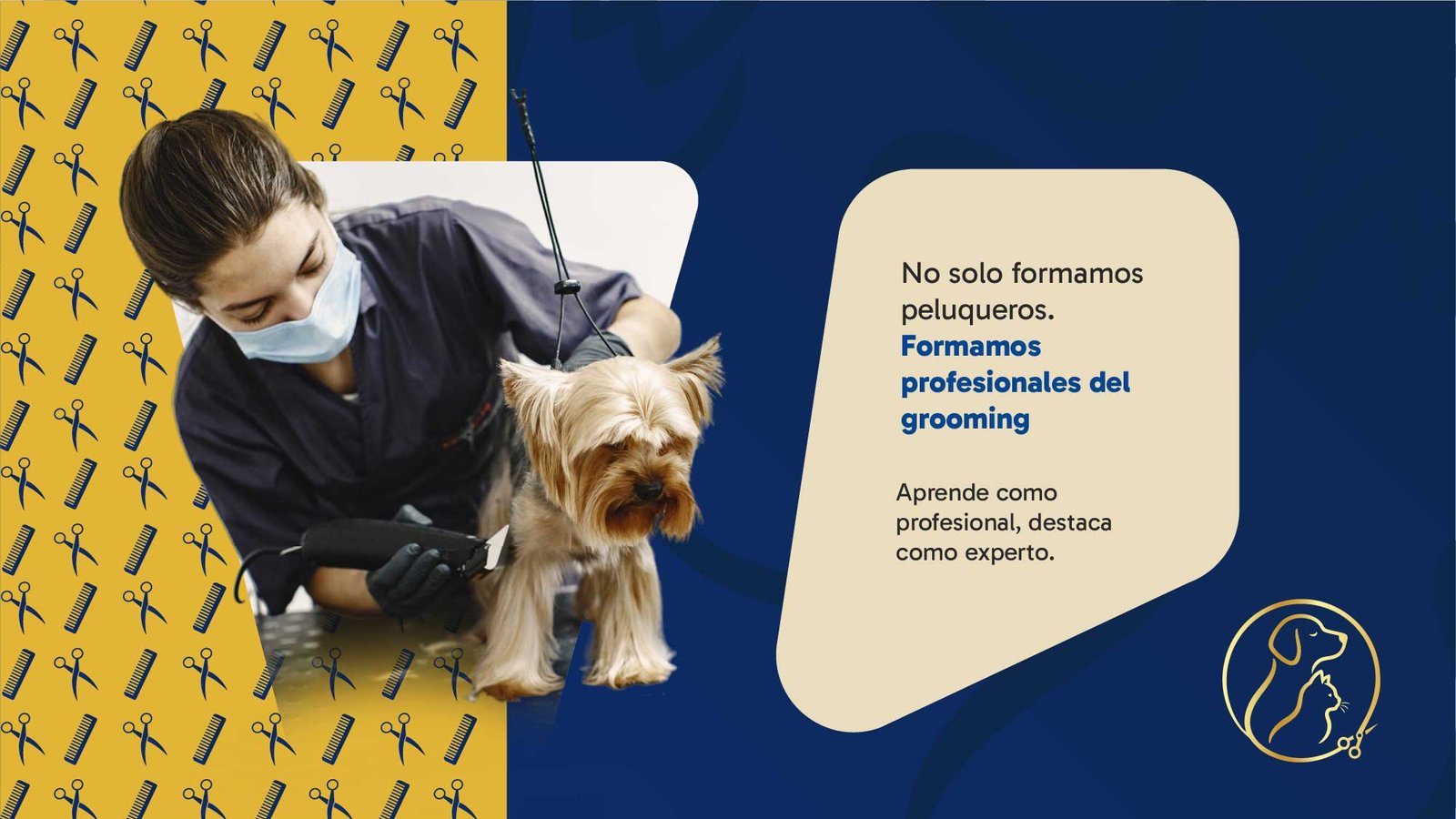 Máster Groomers — sede / formación real