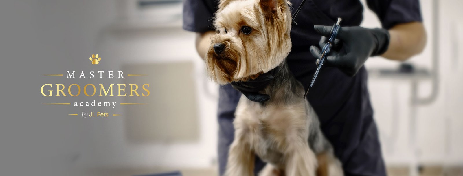 Máster Groomers Academy by JL Pets